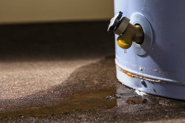 Best 24/7 water damage repair  in Pond Creek, OK