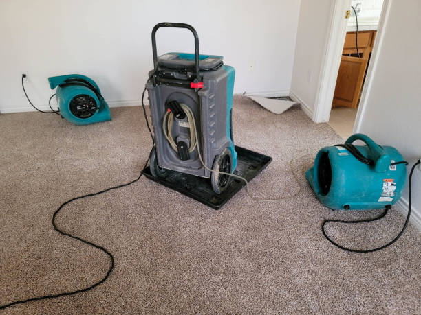 Best Water damage contractors near me  in Pond Creek, OK