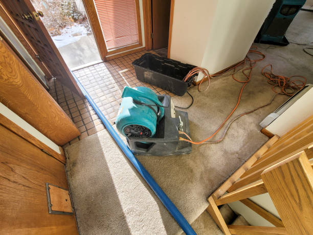 Best Basement water damage restoration  in Pond Creek, OK