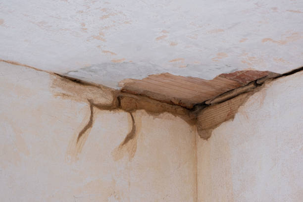 Water damage restoration mold remediation in OK