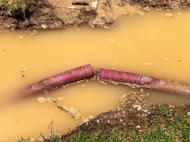 Best Water damage restoration near me  in Pond Creek, OK