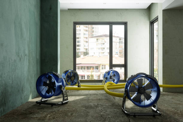 Reliable OK Water damage restoration Solutions